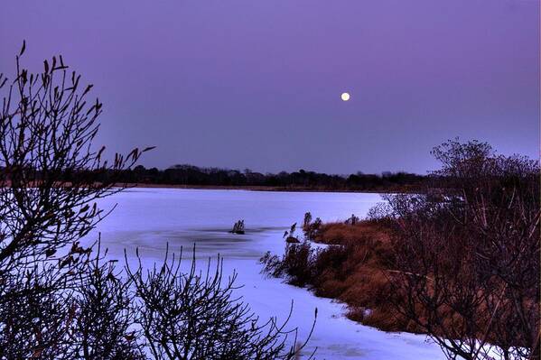 Cape May Point Art Print featuring the photograph Moon and Snow Pond by Tom Singleton