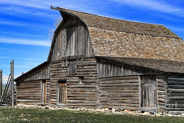 Old Barn Art Print featuring the photograph Mormon Barn in Summer by Edward R Wisell