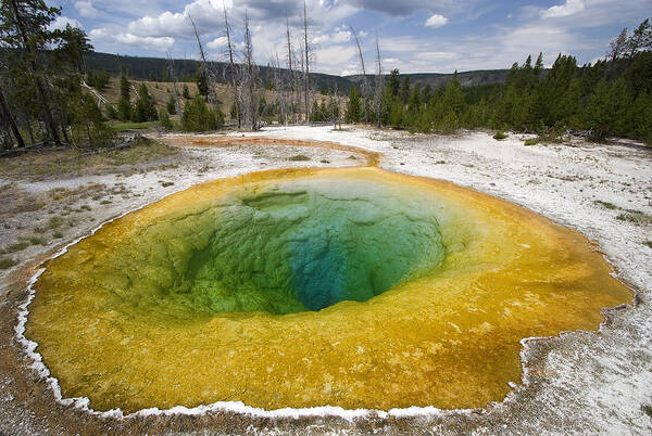 Morning Glory Pool Art Print featuring the photograph Morning Glory by Max Waugh