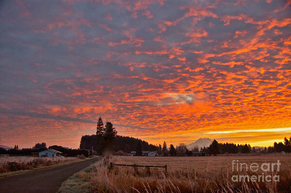 Photography Art Print featuring the photograph Mount Rainier Dawn by Sean Griffin