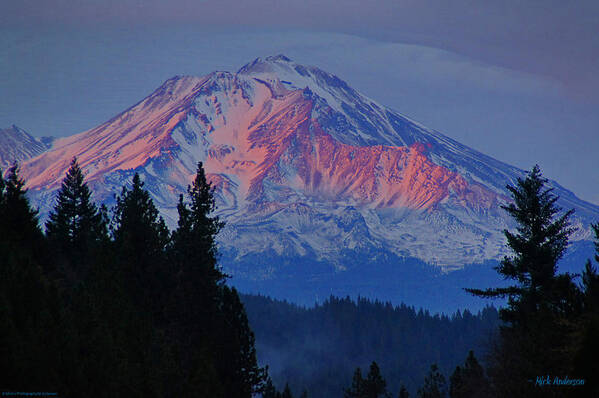 Winter Art Print featuring the photograph Mount Shasta Winterlight by Mick Anderson