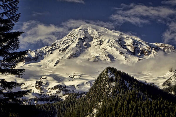 Mount Art Print featuring the photograph Mt Rainier by Heather Applegate
