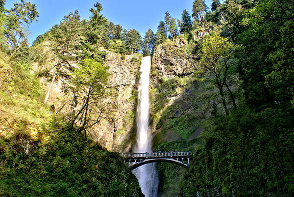 Oregon Art Print featuring the photograph Multnohma Falls Oregon by Rob Green