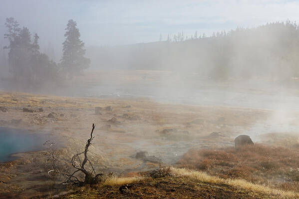 Usa Art Print featuring the photograph Mysterious morning by Johan Elzenga