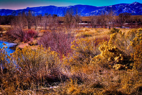 Denver Art Print featuring the photograph Nature at it's best in South Platte Park by David Patterson