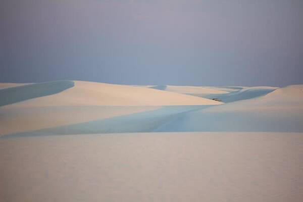 Wall Art Art Print featuring the photograph White Sands by Marlo Horne