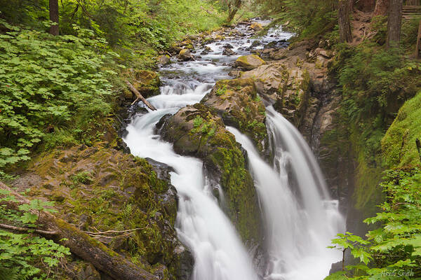 Adventure Art Print featuring the photograph Nature's Majesty II by Heidi Smith