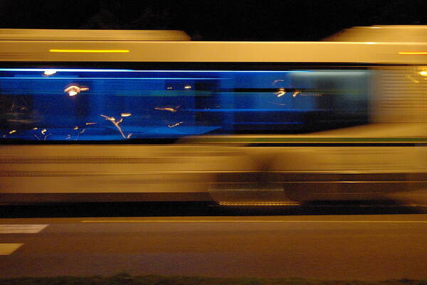 Bus Art Print featuring the photograph Night Bus by Marilyn Wilson