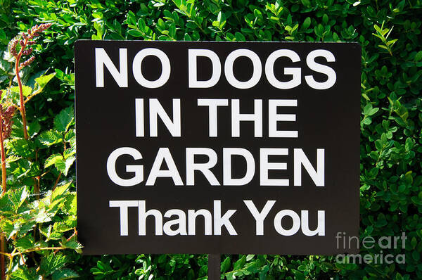 No Dogs In The Garden Thank You Art Print featuring the photograph No Dogs In The Garden Thank You by Andee Design