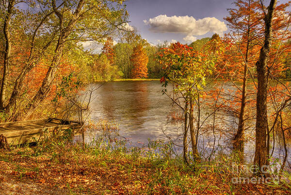Autumn Art Print featuring the photograph October Creek by Cheryl Davis