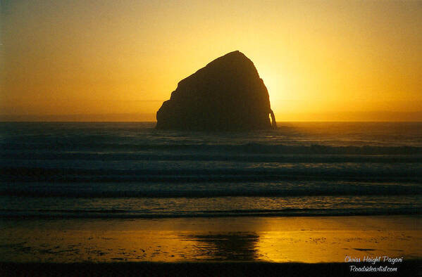 Photo Art Print featuring the photograph Pacific City Sunset by Chriss Pagani