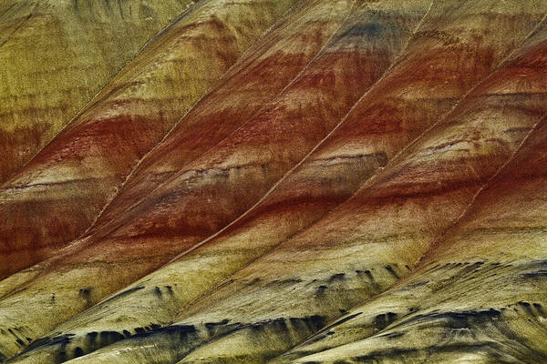 Painted Hills Lines Art Print featuring the photograph Painted Hills Lines by Wes and Dotty Weber