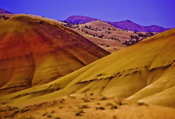 Painted Hills Art Print featuring the photograph Painted Hills of Oregon by Dale Stillman
