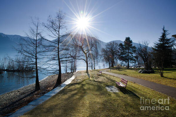 Park Art Print featuring the photograph Park on the lakefront by Mats Silvan