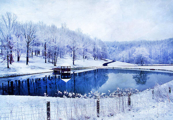 Beautiful Art Print featuring the photograph Peaceful Winters Day by Darren Fisher
