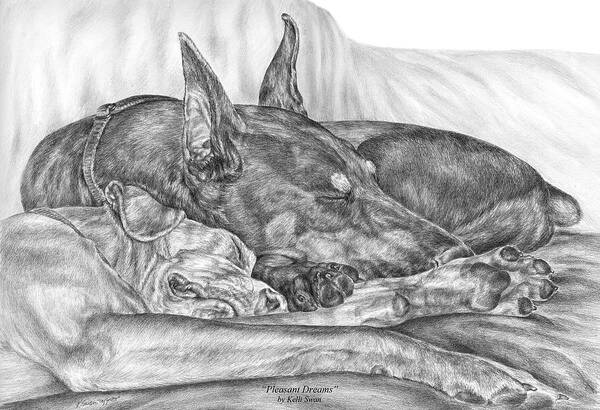 Doberman Art Print featuring the drawing Pleasant Dreams - Doberman Pinscher Dog Art Print by Kelli Swan