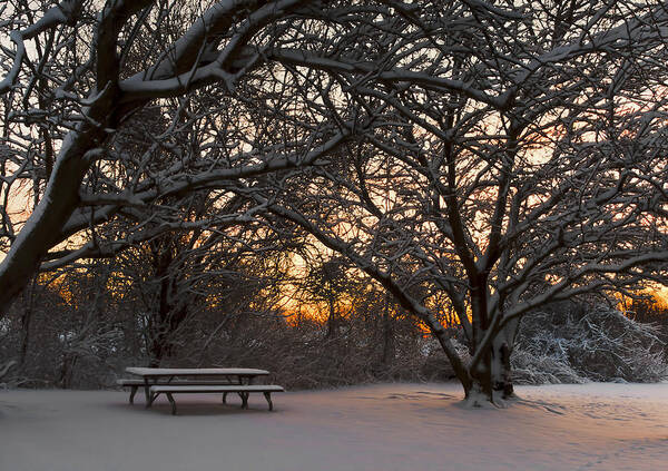 Snow Art Print featuring the photograph Quiet Moment Before Dawn by Yelena Rozov