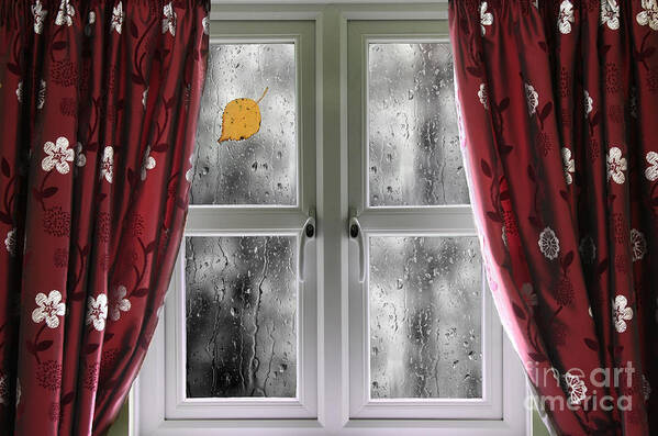 Window Art Print featuring the photograph Rain on a window with curtains by Simon Bratt