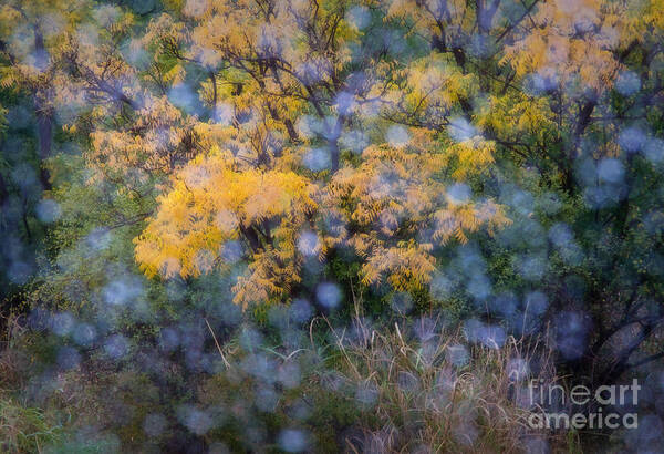 Palo Duro Canyon Art Print featuring the photograph Rainy View by Fred Lassmann