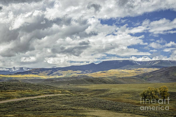 Color Landscape Photography Art Print featuring the photograph Ranch Land II by David Waldrop