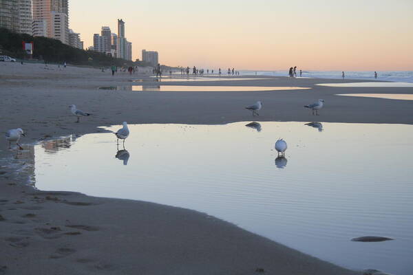 Ocean Art Print featuring the photograph Reflections at Dusk by Jan Lawnikanis
