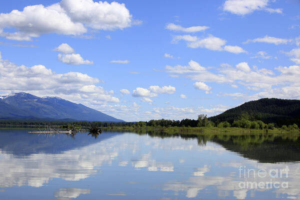 Reflection Art Print featuring the photograph Reflections on Swan Lake by Nina Prommer