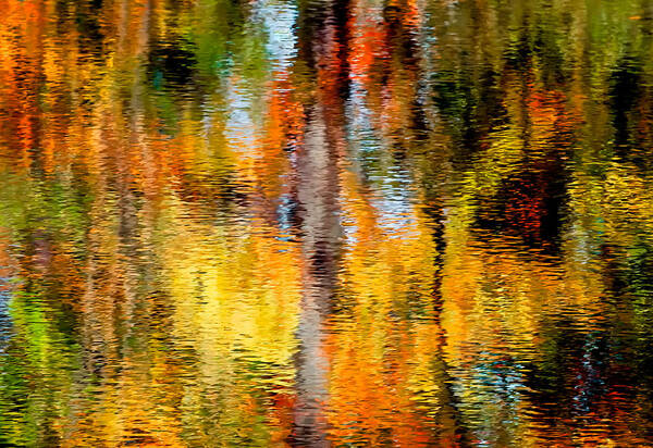 Landscape Art Print featuring the photograph Reflective Stream by Fred LeBlanc