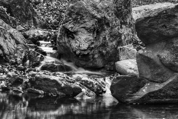 B & W Art Print featuring the photograph Rock Face by Dennis Dame