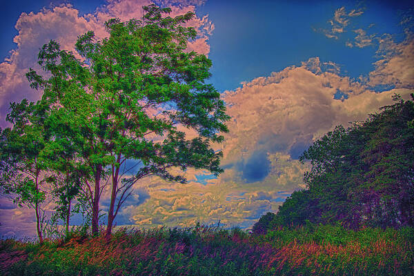 Trail Art Print featuring the photograph Romp Through A Colorful Field by Bill and Linda Tiepelman