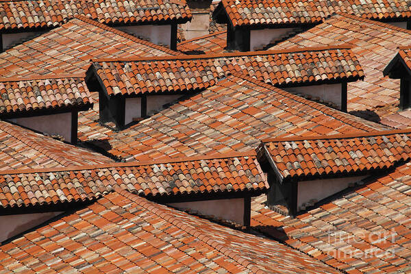 Venice Art Print featuring the photograph Rooftops of Venice by Dennis Hedberg
