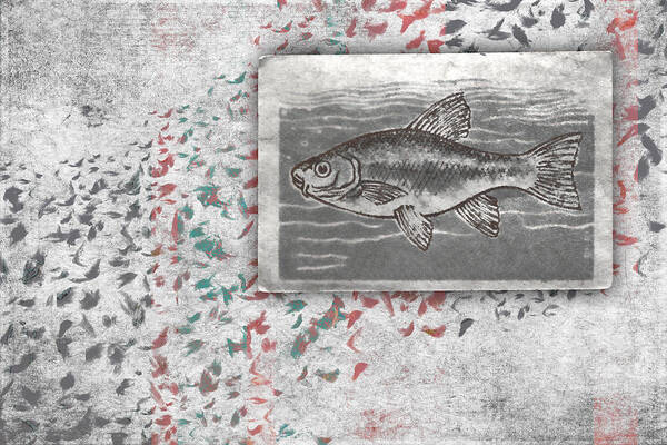 Fish Art Print featuring the photograph Schools 1 by Carol Leigh