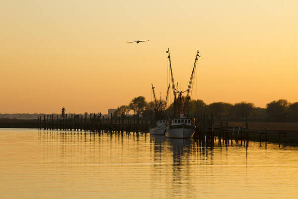 Shem Creek Art Print featuring the photograph Shem Creek by Carrie Cranwill