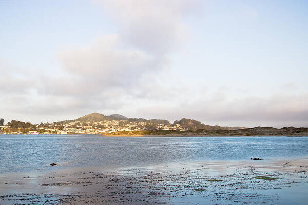 Morro Bay Art Print featuring the photograph Shhhh - Sea Otters Sleeping by Heidi Smith