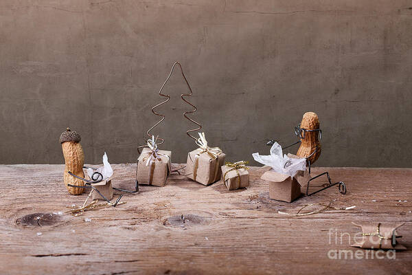 Peanut Art Print featuring the photograph Simple Things - Christmas 05 by Nailia Schwarz