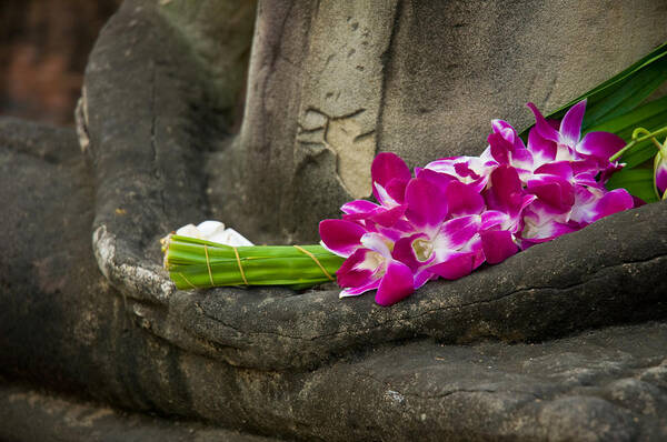 Ancient Art Print featuring the photograph Sitting Buddha in meditation position with fresh Orchid flowers by U Schade