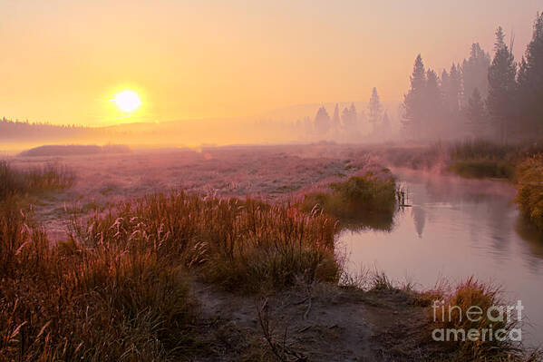 2012 Art Print featuring the photograph Smoke and Fog by Katie LaSalle-Lowery