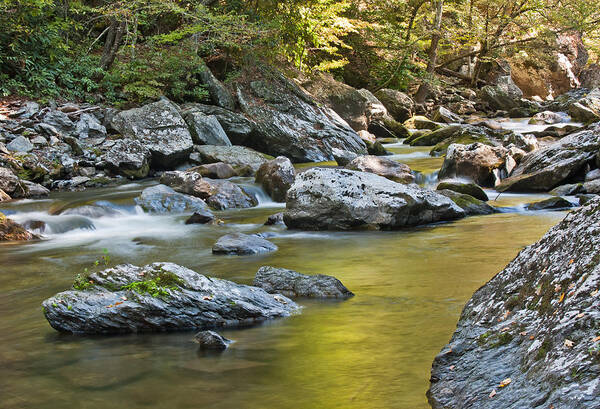 Great Smoky Mountains Art Print featuring the photograph Smoky Mountain Streams II by Angie Schutt