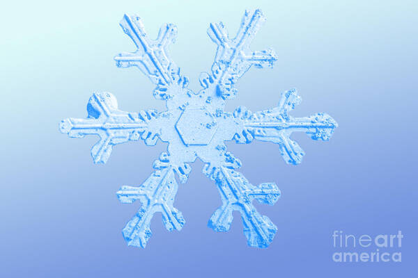 Snow Crystal Art Print featuring the photograph Snow Crystal by National Snow and Ice Data Center