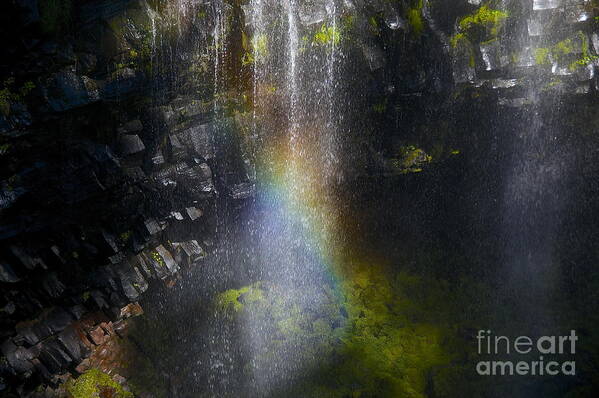 Photography Art Print featuring the photograph Splash Pool by Sean Griffin