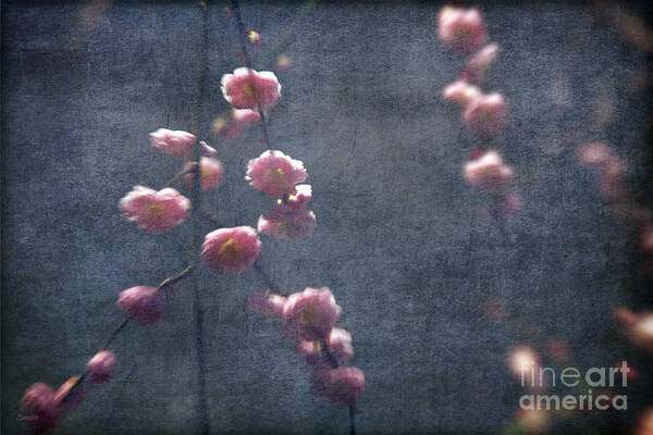 Spring Art Print featuring the photograph Spring is Near by Eena Bo