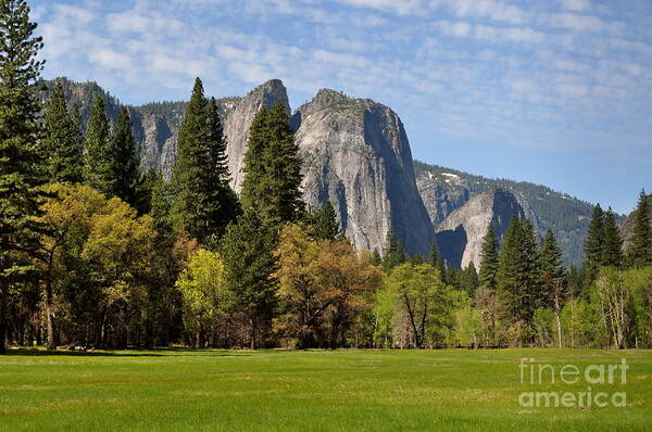 Yosemite Art Print featuring the photograph Spring Meadow by Johanne Peale