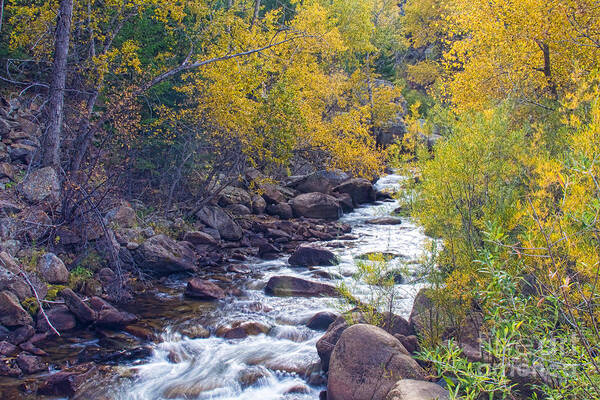 Autumn Art Print featuring the photograph St Vrain Canyon and River Autumn Season Boulder County Colorado by James BO Insogna