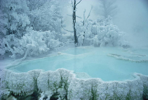 Mp Art Print featuring the photograph Steaming Pool At Mammoth Hot Springs by Michael Quinton