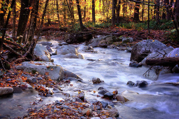 Vermont Art Print featuring the photograph Stickney Brook by Tom Singleton