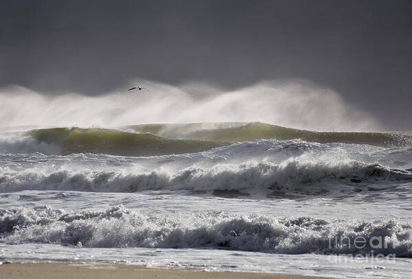 Sea Art Print featuring the photograph Storm Rider by Scott Evers