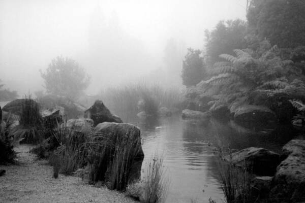 Australia Art Print featuring the photograph Stream in the Mist by Jackie Sherwood