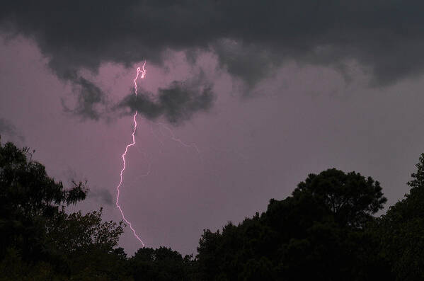 Lightning Art Print featuring the photograph Striking by Tazz Anderson