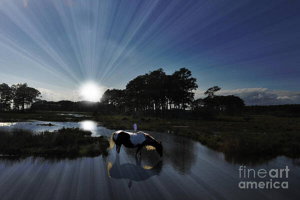 Sunset Art Print featuring the photograph Sunset Assateague Island with wild horse by Dan Friend