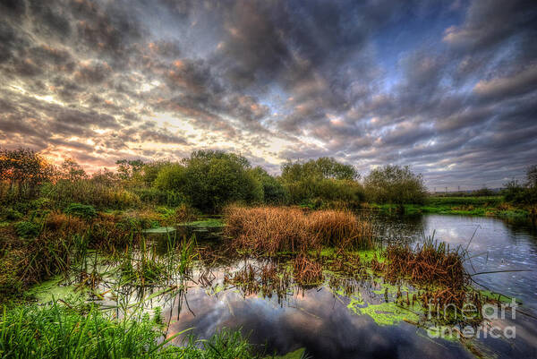 Hdr Art Print featuring the photograph Swampy by Yhun Suarez