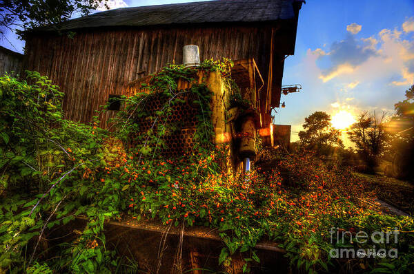 Tactor Art Print featuring the photograph Tactor overgrown with flowers and weeds at sunset by Dan Friend